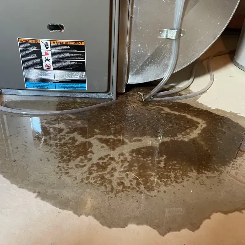 Appliance Leak Cleanup in Olney, IL